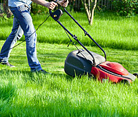 Landscape Maintenance