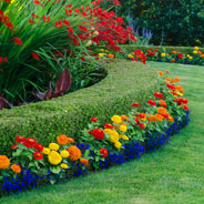 Landscaping Services