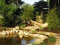 Ponds & Water Features