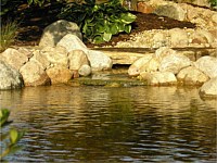 Ponds & Water Features