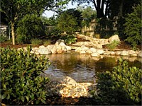 Ponds & Water Features