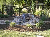 Ponds & Water Features