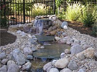Ponds & Water Features