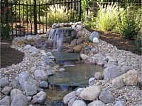 Ponds & Water Features