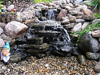 Ponds & Water Features