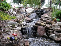 Ponds & Water Features