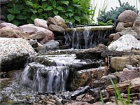 Ponds & Water Features