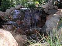 Ponds & Water Features