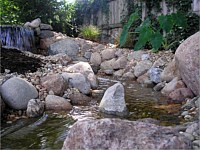 Ponds & Water Features