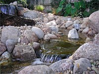 Ponds & Water Features